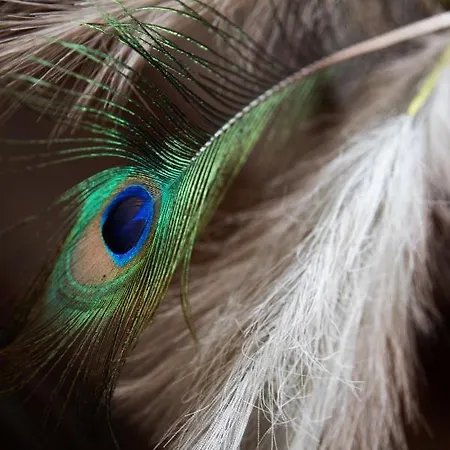 Inalia Modern House Apartment